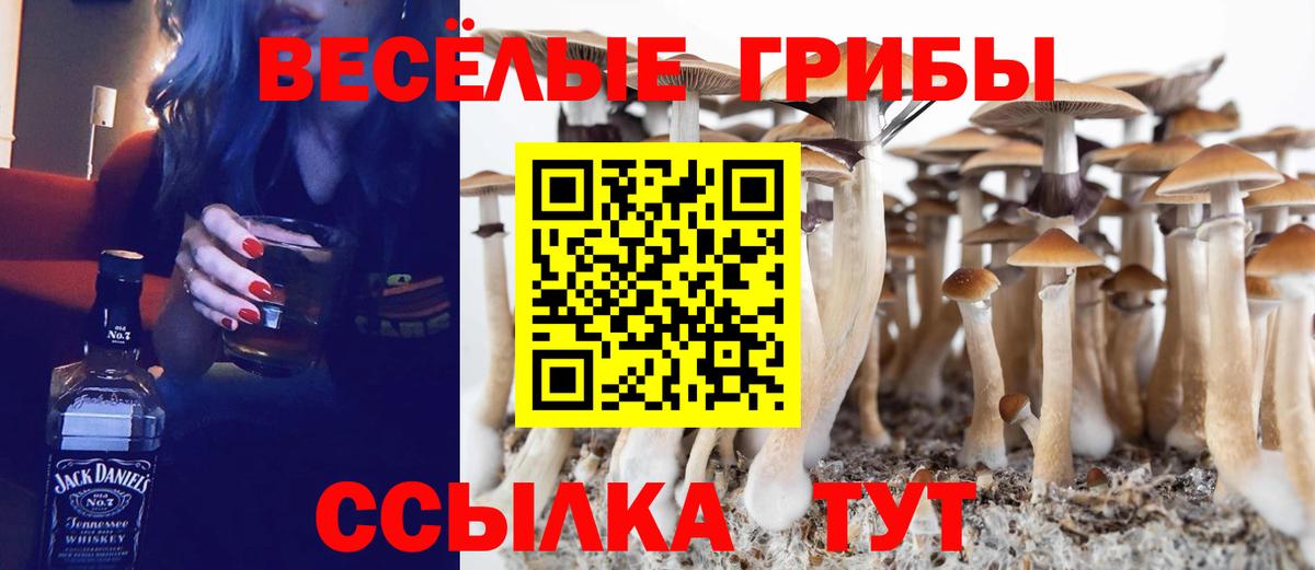 Псилоцибиновые грибы ЛСД Гай