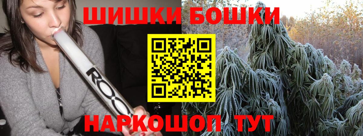 Каннабис ГИДРОПОН Гай